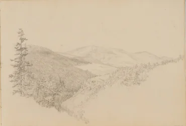 Goździk Kauterskill ze Szkicownika krajobrazu i tematyki zwierzęcej, ca. 1860-64.