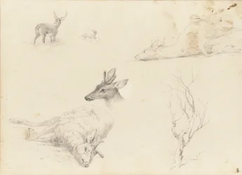 Szkicownik krajobrazu i tematyki zwierzęcej, 1860-64.