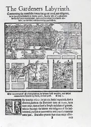 Altana zbudowana jako cień przed słońcem i sadzenie w podwyższonych grządkach, z Labiryntu Ogrodników, 1577