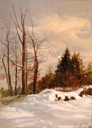 Zimowy krajobraz Catskill