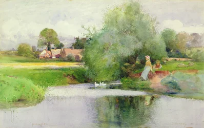 szynka hu Nanning
