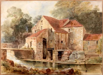 Młyn, Jesmond Dene (kolor nadwozia)