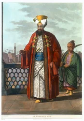 Bej egipski, 1802