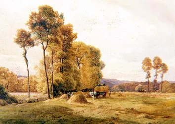 Hayfield, wieczór