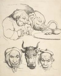 Anatomia porównawcza, 1800-25., 1800-25.