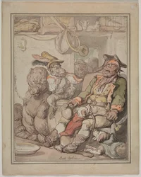 Porównawcze badanie anatomii