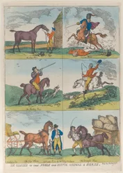 Sześć klas szlachetnego i pożytecznego zwierzęcia - konia, 10 października 1811, 10 października 1811.