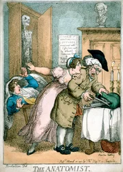 Anatom, 1811