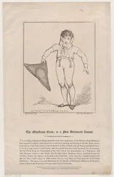 Potworny rak, czyli nowo odkryte zwierzę, 1 marca 1802, 1 marca 1802.