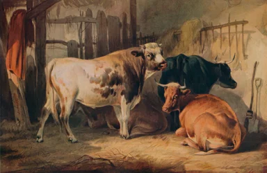 Byk i trzy krowy w oborze, ok. 1856