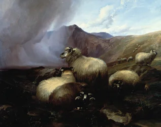 Owca wyżynna w górzystym krajobrazie, 1854