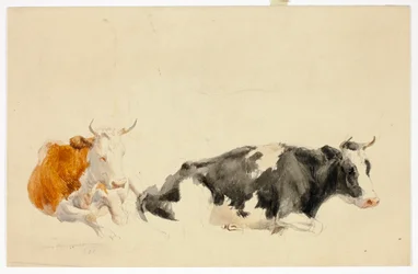 Dwie leżące krowy (recto); Szkic stojącej krowy (verso)