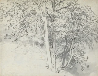 Исследование Treespolish