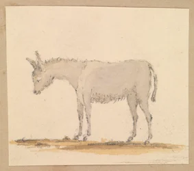 Studium osła, ok. 1820 (pióro i tusz, pranie, akwarela)