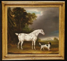 Appaloosa Koń i spaniel, 1807