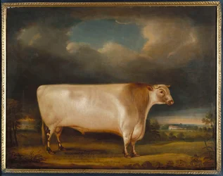 Kometa, jasnodereszowaty byk krótkorogi w krajobrazie, 1811