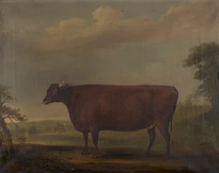 Czerwone jałówki devon w pejzażu, ok. 1812 (olej na płótnie)