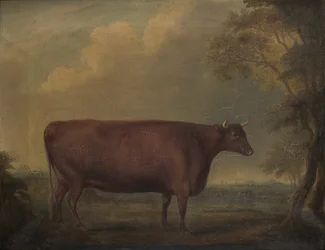 Czerwone jałówki devon w pejzażu, ok. 1812 (olej na płótnie)