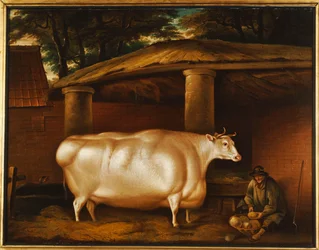 Biała jałówka, która podróżowała, z mężczyzną krojącym rzepę na stajni, 1811