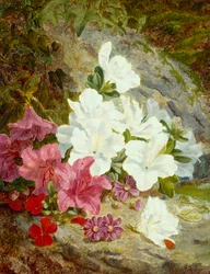 Azalia (olej na płótnie)
