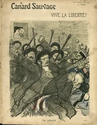 Ilustracja Steinlena (1859-1923) do okładki Dzikiej kaczki