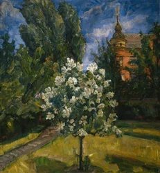 Letni dzień