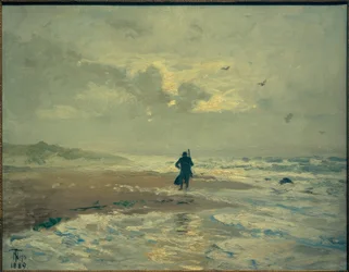 Widok na plażę. Grenen koło Skagen