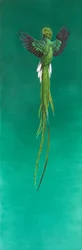 Quetzal ( akwarela i gwasz na papierze )