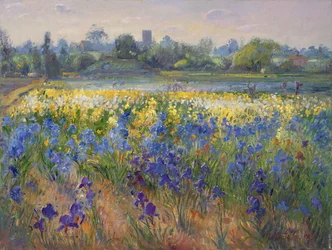 Blue Haze w Burgate, 1993