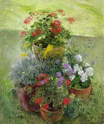 Doniczki Cieniowane (olej na płótnie)