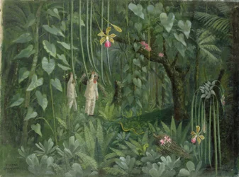 Łowcy orchidei z Brazylii