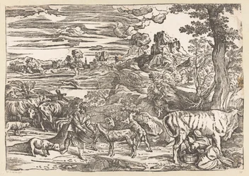 Krajobraz z Dojarką