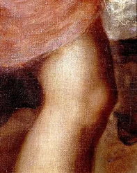 Śmierć Akteona, fragment kolana Diany, ok. 1565 (olej na płótnie) (detal z 28850)
