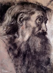 Głowa starca Rysunek Tiziano Vecellio zwany Tycjanem (1485-1576) XVI-wieczny Paryż, Luwr