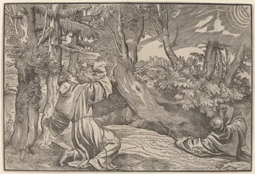 Stygmaty św. Franciszka