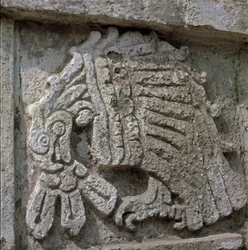Płaskorzeźba orła, świątynia Quetzalcoatl