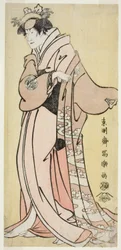 Herbata C i R Nakayama i Saburo Doctor A S -DY Tsukuba