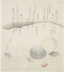 Vergeten schelp, pruimenbloesem schelp en kersen schelp Wasuregai, umenohanagai, sakuragai (title on object) Een serie van schelpen (series title) Kaitsukushi (series title on object)   1367703   pl       polish Successfully Translated  Original: Wijd land