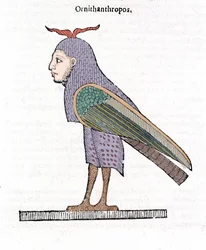 Ornithantropos. Ptak z ludzką głową. Ulisse Aldrovandi „Historia potworów” Bolonia 1642