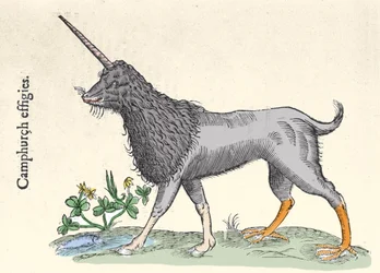 Przedstawienie kampuru, potwora z Wysp Moluckich Grawer Ulisse Aldrovandi (1522-1605), „Monstrorum Historiae”, Bolonia 1642