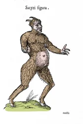 Reprezentacja satyra. Tablica z rękopisem Historii Naturalnej autorstwa Ulisse Aldrovandi (1522-1605) o potworach