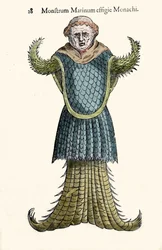 Mnich morski, wyimaginowana ryba i potwór morski autorstwa Ulisse Aldrovandi (1522-1605), „Monstrorum Historiae”, Bolonia 1642