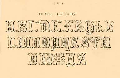 13 wiek. Z łac. MS., 1862
