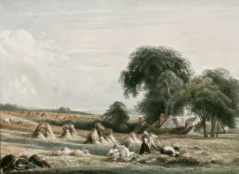 Scena żniw, ok. 1900.