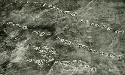 Atak piechoty na ziemi niczyjej, 1919.