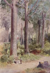 Las Kauri, 1923.
