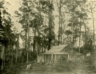 Mieszkanie w stylu rustykalnym, 1901.