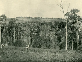 Wiktoriańska górska farma, 1901.