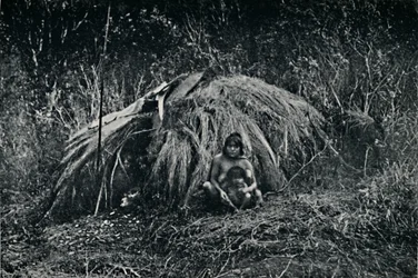 Chata Yaghan w Fuegia, 1911