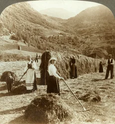 Rodzina rolników robi siano na słonecznym polu między górami, Roldal, Norwegia, c1905.